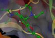 Schiff’s Base Derivative Of Chitosan: A Potential Matrix For Metalloprotein Enrichment