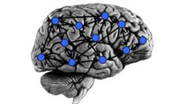 Modeling fMRI BOLD Correlates of Neural Circuit Activity