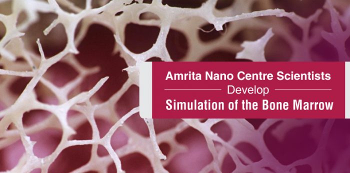 Amrita Nano Centre Scientists Develop Ground Breaking Simulation of Bone Marrow