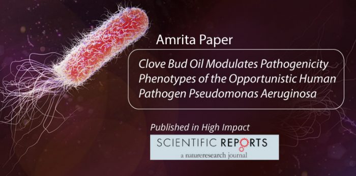 Amrita Faculty Publish Paper on the Effect of Natural Product Clove Bud Oil on Pathogenic Pseudomonas aeruginosa Virulence and Host Response