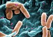 Development of New Tools to Reverse Antibiotic Resistance in Pathogens Like Pseudomonas Aeruginosa