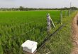 Intelligent, Animal Attack Prevention System for Crop Protection