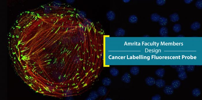 Amrita Faculty Members Design Cancer Labelling Fluorescent Probe