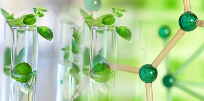 Green Chemistry and Sustainability