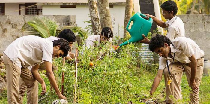 Grow Your Own Vegetables — Amma Tells Students