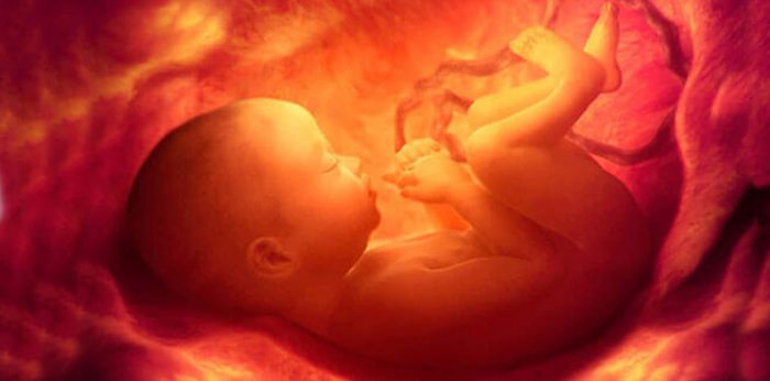 Rare Intra-uterine Foetal Procedure at Amrita Saves Life of Woman & Child