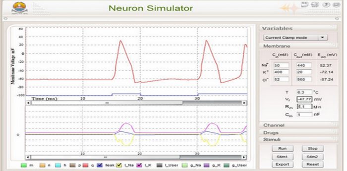 Neuron Simulator Virtual Lab in School of Biotechnology